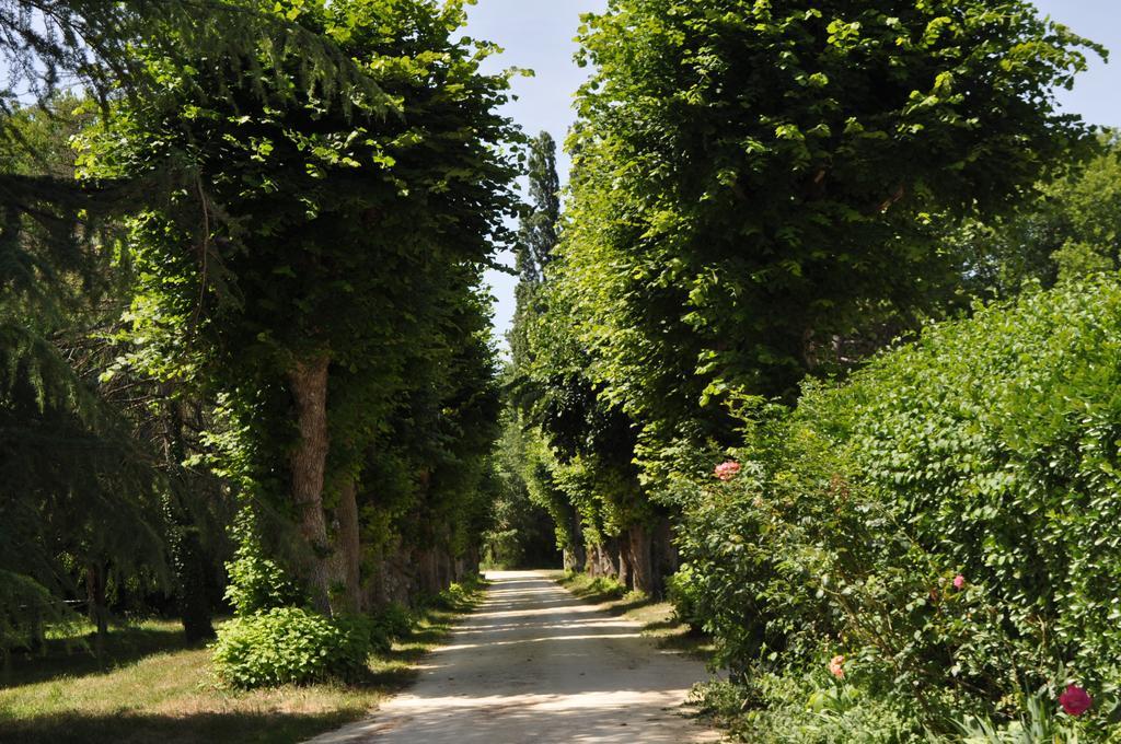 Les Longchamps Bed and Breakfast Neuillé Exterior foto
